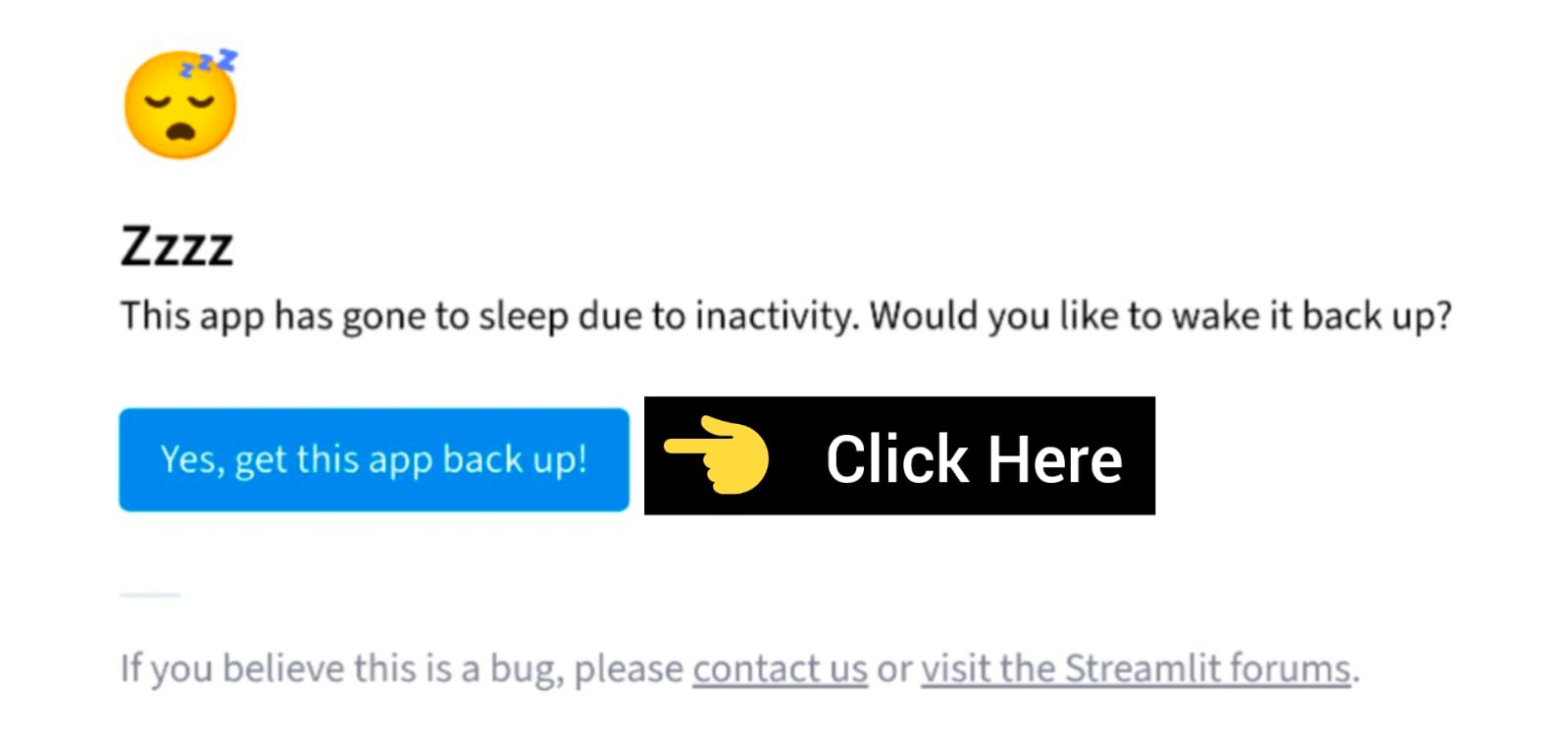 Streamlit Inactivity Message